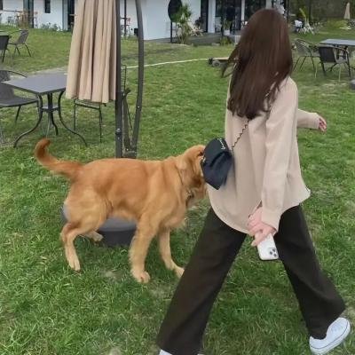 大法师传奇